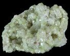 Sparkly Vesuvianite - Jeffrey Mine, Canada #64076-2